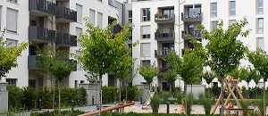 single kochkurs heidelberg
